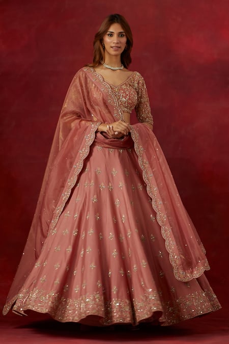 Ikshita Choudhary Pink Blouse Net Hand Embroidered Floral Broad V Lehenga Set