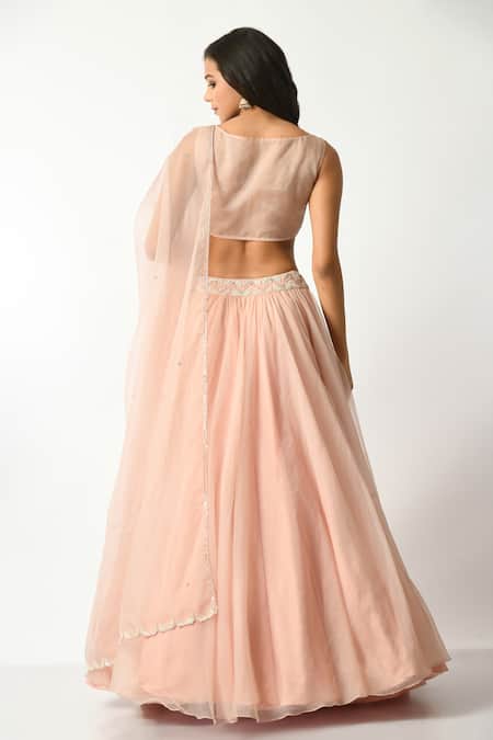 Salt And Spring Hand Embellished Blouse Lehenga Set 