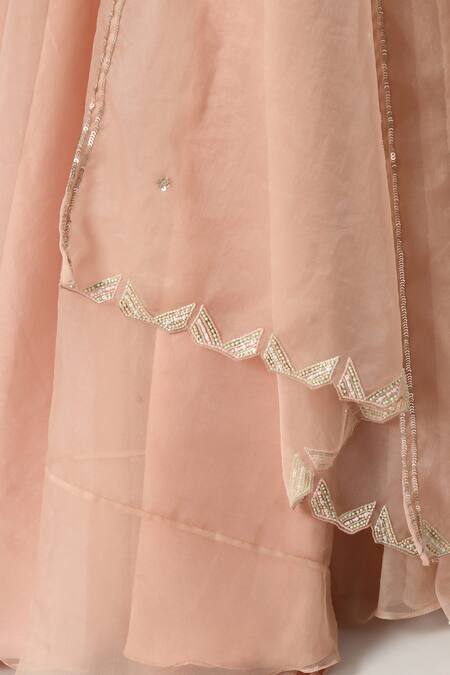 Buy Salt And Spring Pink Organza, Polyester Sequins, Beads Hand Embellished Blouse Lehenga Set Online at Aza Fashions Buy_Salt And Spring_Pink Organza, Polyester Sequins, Beads Hand Embellished Blouse Lehenga Set _Online_at_Aza_Fashions
