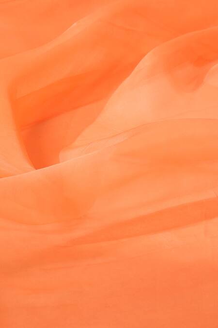 Buy_Weaver Story_Peach Organza Pure Handcrafted Saree _Online_at_Aza_Fashions