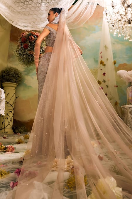 Shop Studio22 By Pulkita Arora Bajaj Rose Gold Net, Lycra Beads, Cut Work Cutdana And Embroidered Fishtail Lehenga Set at Aza Fashions Shop_Studio22 By Pulkita Arora Bajaj_Rose Gold Net, Lycra Beads, Cut Work Cutdana And Embroidered Fishtail Lehenga Set _at_Aza_Fashions