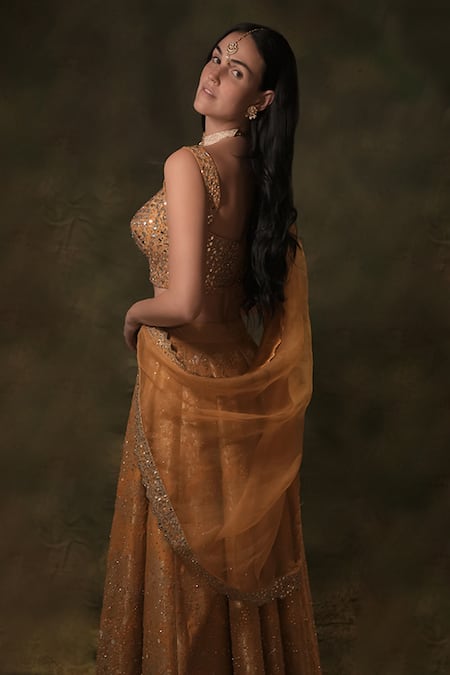 Archana Kochhar Anant Embroidered Lehenga Set 