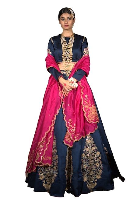 Vikabyarvindampula Hand Embroidered Blouse Lehenga Set 