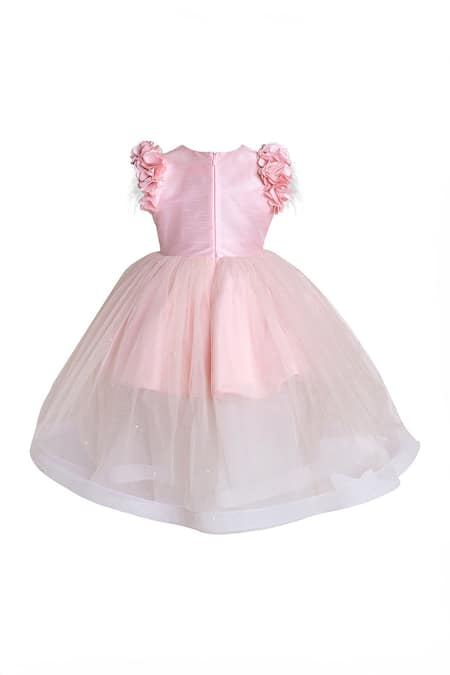 Pnk Isha Arora (Pink) Floral Applique Embellished Dress 