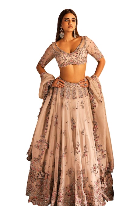 Dolly J_Grey Organza Zari, Embroidery Plunge Neck Dulect Zardozi Bridal Lehenga Set _Online_at_Aza_Fashions