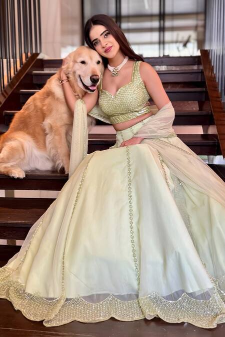 Richa Jaisinghani Label_Green Silk, Organza, Net Cut Work, Sequins, Cutdana Hive Kalidar Lehenga Set _Online_at_Aza_Fashions