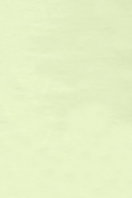 Buy The Baby Atelier Green Organic Cotton Single Duvet Cover Online at Aza Fashions Buy_The Baby Atelier_Green Organic Cotton Single Duvet Cover_Online_at_Aza_Fashions