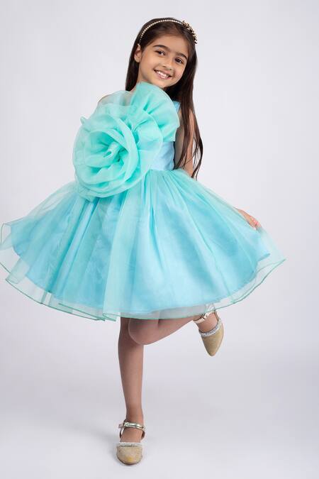 Shop_Jelly Jones_Green Organza, Cotton Embroidery Rosette Embellished Dress_Online_at_Aza_Fashions