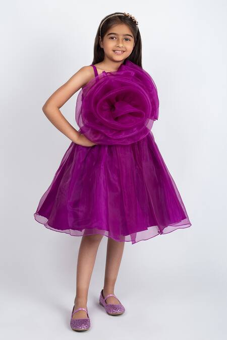 Jelly Jones_Wine Organza, Cotton Ruffles Rosa Embellished Dress_Online_at_Aza_Fashions