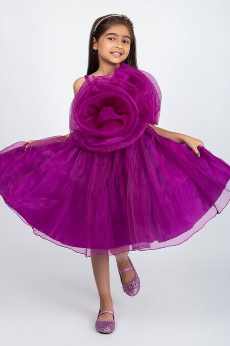 Buy_Jelly Jones_Wine Organza, Cotton Ruffles Rosa Embellished Dress_Online_at_Aza_Fashions