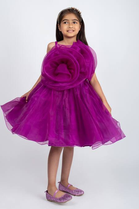 Shop_Jelly Jones_Wine Organza, Cotton Ruffles Rosa Embellished Dress_Online_at_Aza_Fashions