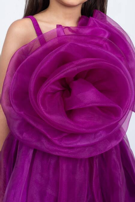 Jelly Jones_Wine Organza, Cotton Ruffles Rosa Embellished Dress_at_Aza_Fashions