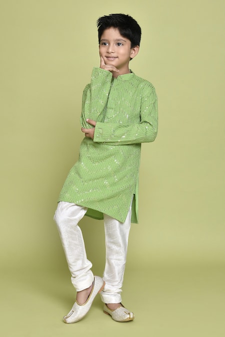 Samyukta Singhania Green Rayon Embroidered Sequin Straight Kurta 