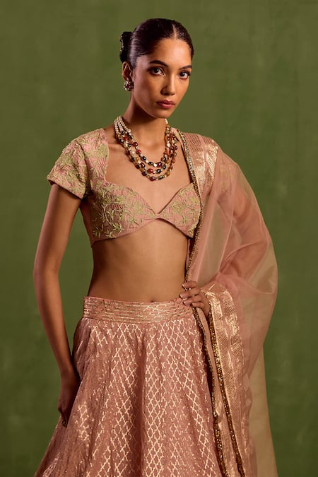 Neha Khullar_Pink Organza, Chanderi Silk Lace V-neck Geometric Jaal Woven Lehenga Set _at_Aza_Fashions