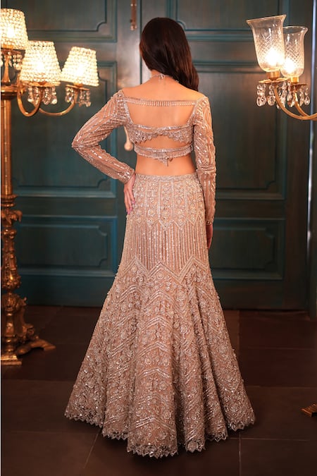 Isa By Dolly Wahal Ophelia Fishcut Embroidered Lehenga Set 