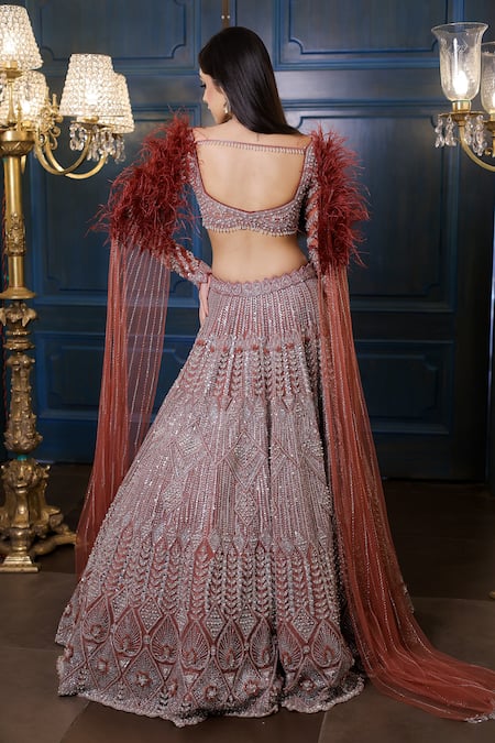 Isa By Dolly Wahal Feather Embroidered Lehenga & Blouse Set 