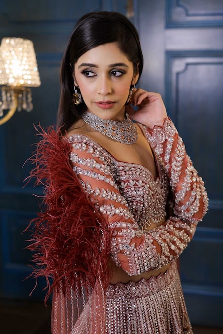 Buy_Isa By Dolly Wahal_Brown Net Sequins, Cut Work, Crystals Feather Embroidered Lehenga And Blouse Set _Online_at_Aza_Fashions