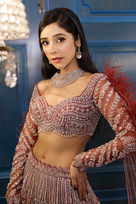 Buy_Isa By Dolly Wahal_Brown Net Sequins, Cut Work, Crystals Feather Embroidered Lehenga And Blouse Set 