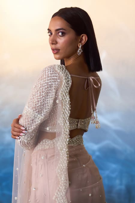 Angad Singh Pearl & Sequin Meadow Embroidered Net Saree Set 