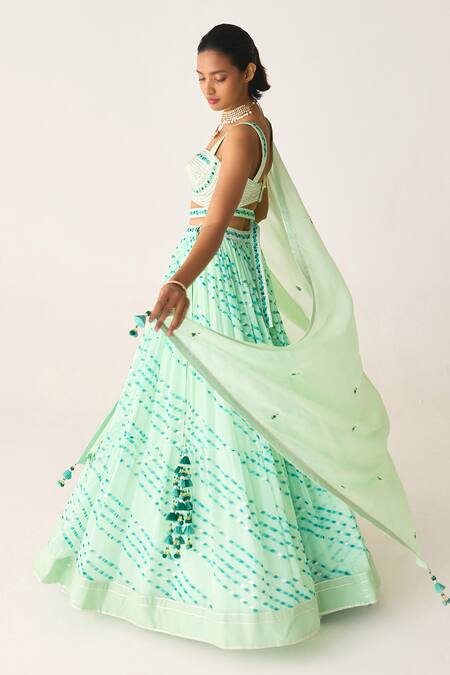 Shyam Narayan Prasad_Green Georgette, Chiffon Tassels, Gota Patti, Printed Lehenga Blouse Set _at_Aza_Fashions