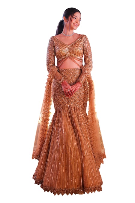 Shop Isa By Dolly Wahal Gold Net Cut Work, Sequins, Crystals V-neck Zeal Fishcut Embroidered Lehenga Set Online at Aza Fashions Shop_Isa By Dolly Wahal_Gold Net Cut Work, Sequins, Crystals V-neck Zeal Fishcut Embroidered Lehenga Set _Online_at_Aza_Fashions