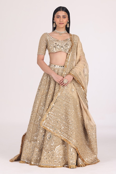 Abhinav Mishra Gold Blouse Net Embellished Mirror V Neck Zari Bridal Lehenga Set