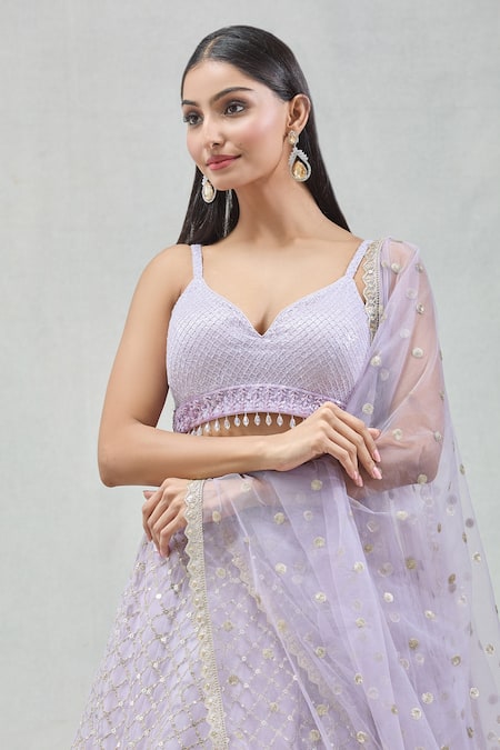 Meenagurnam_Purple Net Embroidery, Zari V-neck Checkered Lehenga Set _at_Aza_Fashions
