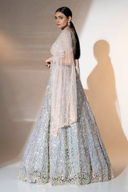 Ellemora Fashions_Grey Net Sequins, Beads V-neck Charm Floral Embellished Lehenga Set _Online_at_Aza_Fashions