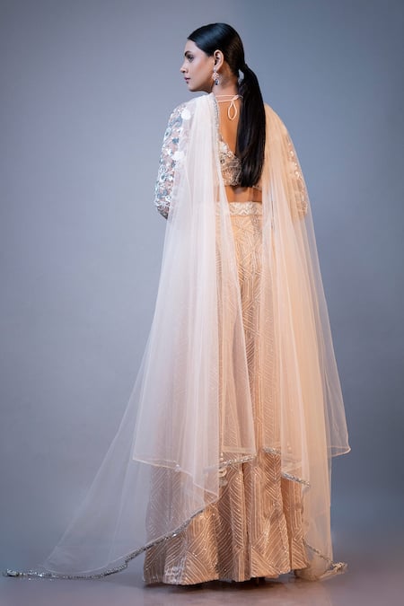 Shop_Ellemora Fashions_Ivory Net, Satin, Organza Embroidery V-neck Elegance Floral Palazzo Set _at_Aza_Fashions