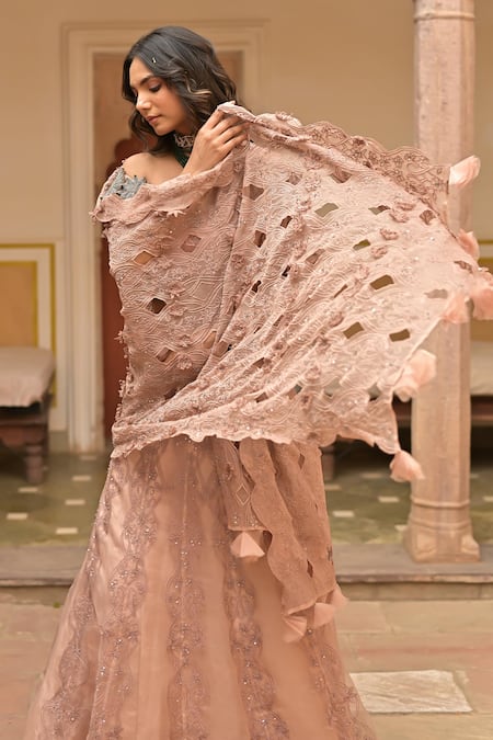 Tarisha Tholia Hand Embroidered Blouse Lehenga Set 