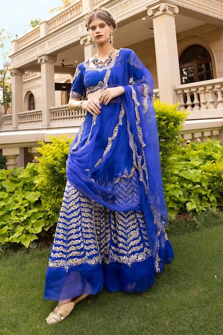 Tarisha Tholia Blue Organza Hand Embroidered Zardosi Leaf Neck Suvi Sharara Saree With Blouse 