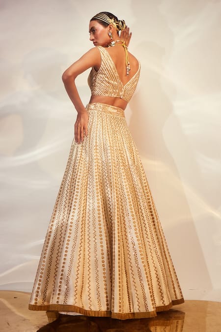 Akara Chevron Embroidered Lehenga & Blouse Set 