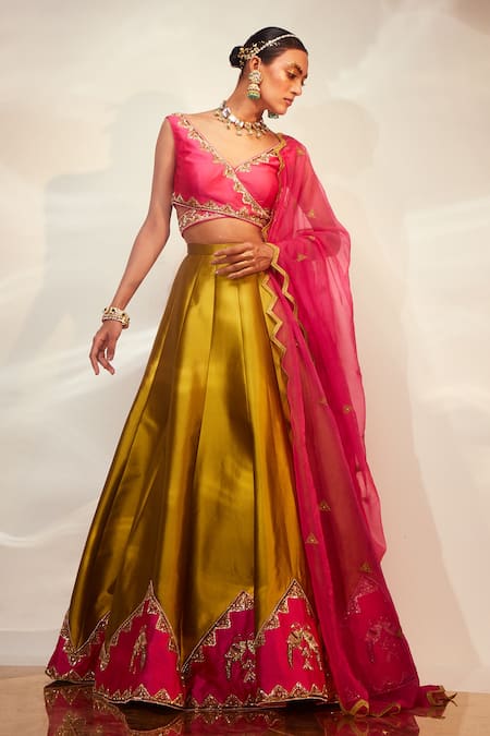 AKARA Border Embroidered Panelled Lehenga Set 