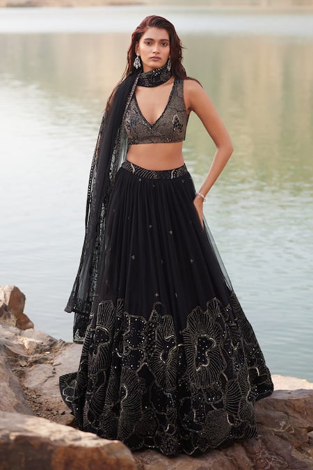 Mishru Ara Waistband Embroidered Pleated Lehenga Set 