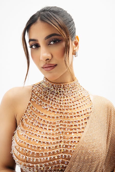 Shop Itrh Brown Net Crystals High Neck Margot Embellished Pre-draped Saree With Blouse Online at Aza Fashions Shop_Itrh_Brown Net Crystals High Neck Margot Embellished Pre-draped Saree With Blouse _Online_at_Aza_Fashions