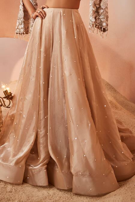 Sachkiran Bimbra_Beige Organza Sequins, Diamonds, Zari, Cut Scattered Embroidered Lehenga Set _Online_at_Aza_Fashions