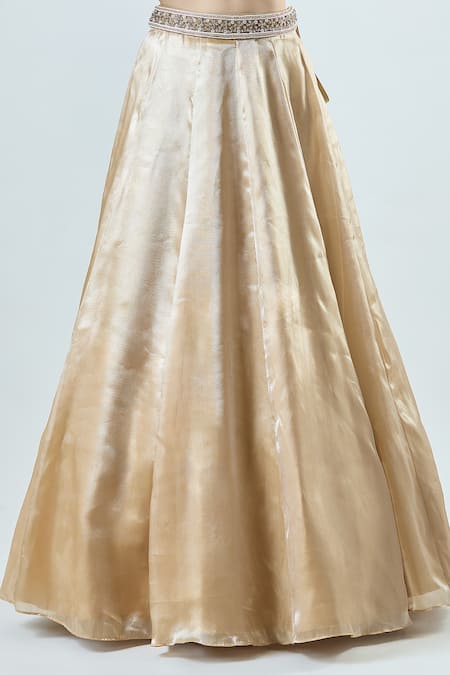 Samyukta Singhania_Gold Net, Tissue Beads, Panelled Lehenga Set With Embellished Shoulder Blouse _Online_at_Aza_Fashions