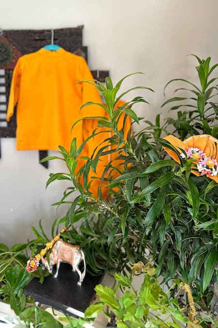 Shop Rage Attire-Sweta Saria Orange Cotton, Silk Beads Divine Embroidered Kurta With Dhoti Set at Aza Fashions Shop_Rage Attire-Sweta Saria_Orange Cotton, Silk Beads Divine Embroidered Kurta With Dhoti Set _at_Aza_Fashions