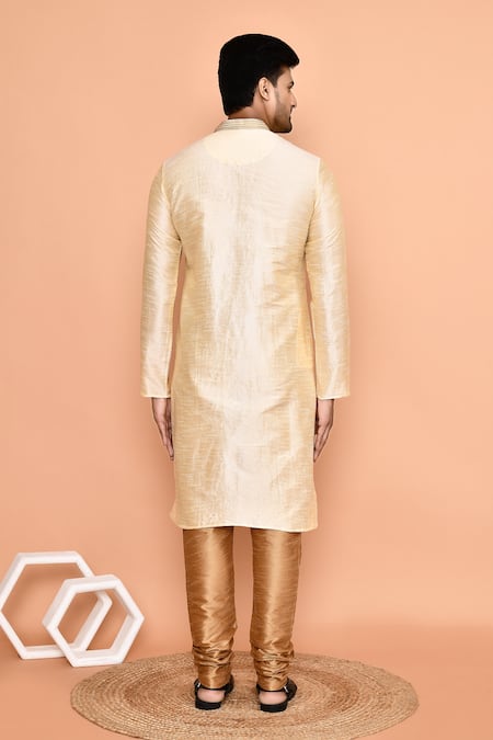 Arihant Rai Sinha Placed Vine Embroidered Kurta With Churidar 