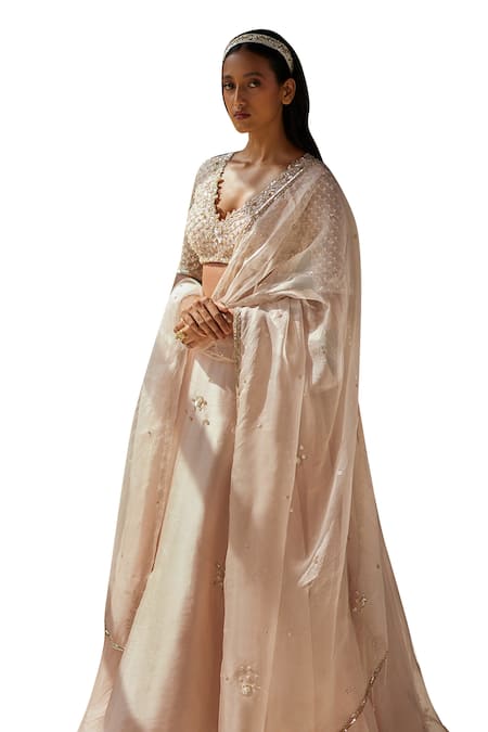 Zoon_Pink Silk Organza, Crepe Sequins, Embroidery V-neck Aari Hand Skirt Blouse Set _at_Aza_Fashions