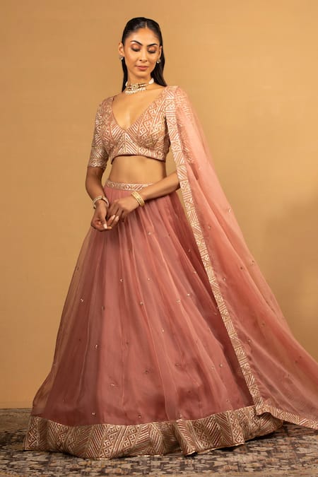 Esha Koul Pink Georgette Embroidery Gota V-neck Blouse And Lehenga Set 