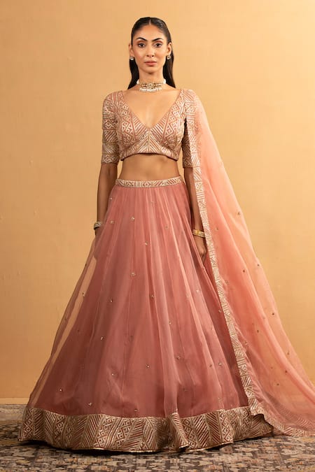 Esha Koul_Pink Organza, Georgette Pearls V-neck Gota Embroidered Blouse And Lehenga Set _Online_at_Aza_Fashions