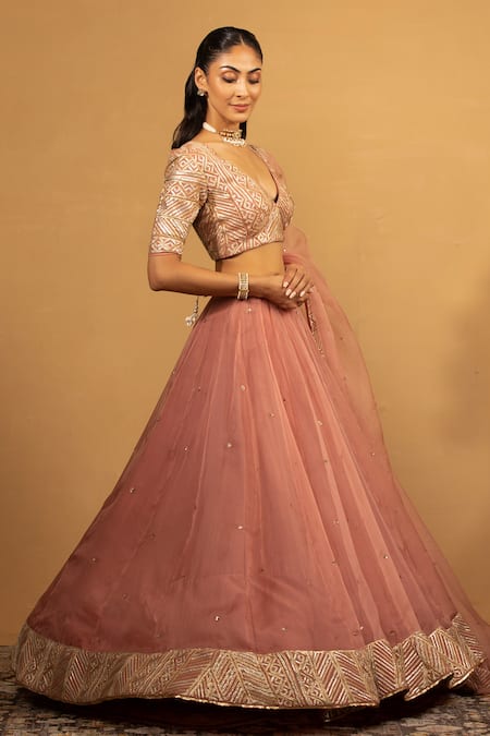 Shop_Esha Koul_Pink Organza, Georgette Pearls V-neck Gota Embroidered Blouse And Lehenga Set _Online_at_Aza_Fashions