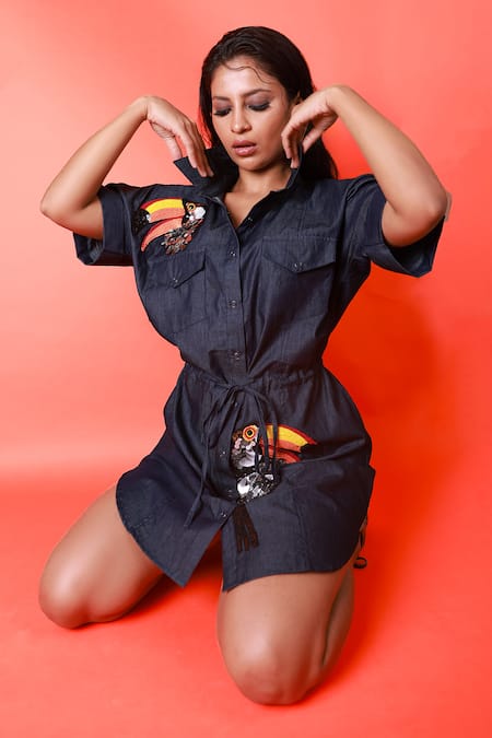 Richaa Goenka_Blue Cotton Embroidery Collared Toucan Hand Dress _Online_at_Aza_Fashions