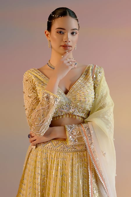 Buy_Shashank Arya_Yellow Organza, Satin, Net Crystals, Leaf Stripe Embroidered Bridal Lehenga Set 