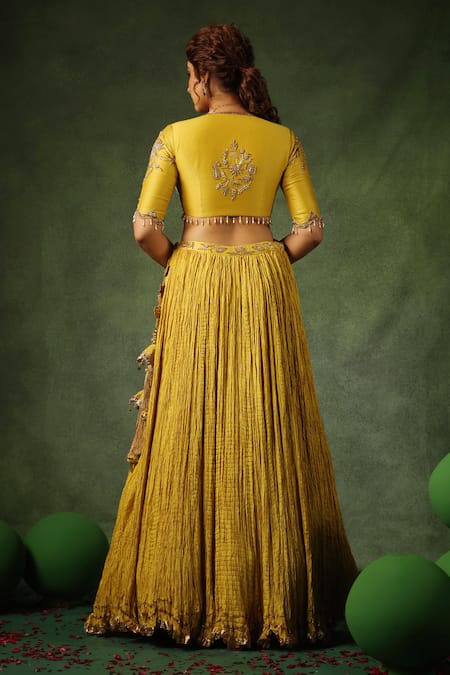 Label Niti Bothra Zardozi Butta Embroidered Lehenga Set 