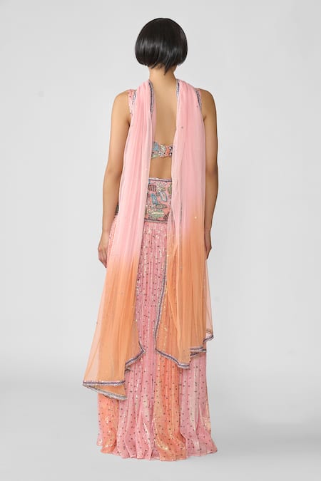 Aisha Rao Sylphine Applique Embellished Pleated Lehenga Set 