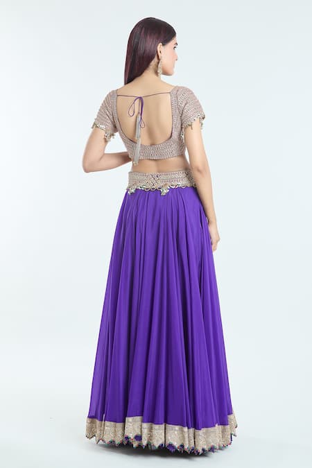 Anamika Khanna Hand Embroidered Blouse Lehenga Set 