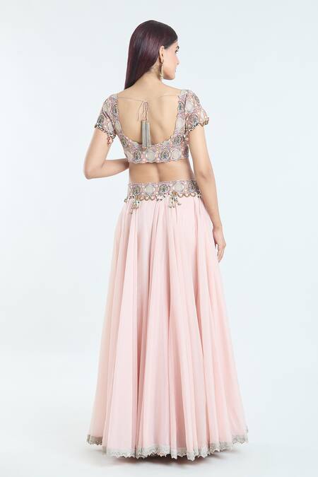 Anamika Khanna Embroidered Blouse Lehenga Set 