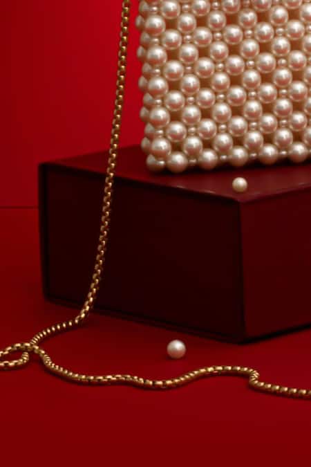 Amyra_White Bora Pearl Embellished Mobile Cover_at_Aza_Fashions